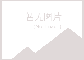 吉首白山化学有限公司